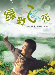 全集免费观看超清