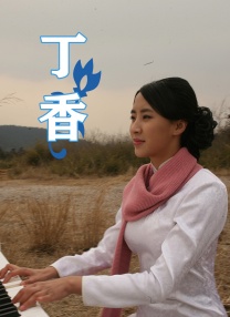 手机免费播放
