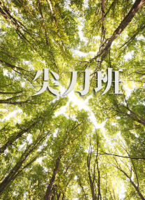 DVD无删减90分钟观看