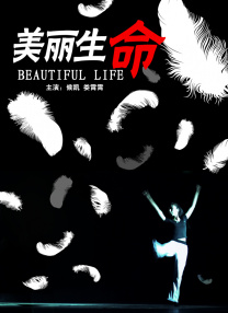 全集免费观看超清