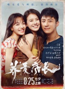 高清蓝光在线观看
