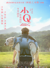 收起 时长：02:46建议WIFI下打开 专稿 李连杰、惠英红、吴京、谢霆锋、张晋、于适、陈丽君、此沙、李云霄、刘耀文，再加上“天下第一武指”袁和平坐镇导演。